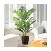 homeagro - Areca palm Plant ( 5 Seeds )