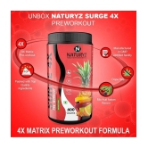 NATURYZ Surge 4X Pre Workout With Highest 24 Nutrients for Pump, Muscle gain - 400g(MixFruit Fusion)