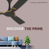 Exado Prime AS 1 Star 1.2 m 3 Blade Ceiling Fan-Choc Brown matt