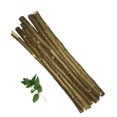 Natural Neem Chew Sticks/Tree Datun Twigs Organic Toothbrush