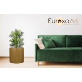 Euroxo Fiber Planter | FRP Planter for indoor & outdoor | Grey | Dark Grey | Yellow