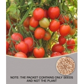 ARKA RAKSHAK F1 HYBRID TOMATO 100 SEEDS