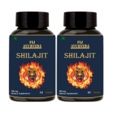 FIJ AYURVEDA Shilajit  Capsule Supports Vigor & Vitality - 500mg 60 Capsules (Pack of 2)