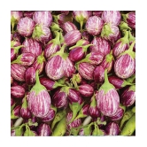 homeagro - Brinjal Vegetable ( 100 Seeds )