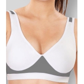 Dermawear Multi Color Poly Cotton Color Blocking Sports Bra - 32C