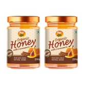 ANP BEE Honey Organic CinnmonHoney 250 g Pack of 2