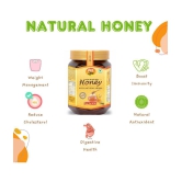 ANP BEE 100% Pure NMR Tested Honey Raw Natural Honey 1 kg Pack of 2