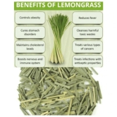 Dry Lemongrass Leaves