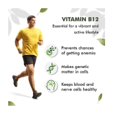 Sprowt Plant Based Vitamin B12|Boost Energy|Good For Nervous System & Brain function|120 Capsules