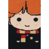 Harry Potter Character Lowcut Socks -Harry Ron & Hermione For Women (Select From Drop Down)-Ron