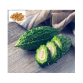 Recron Seeds Bitter Gourd Vegetable ( 15 Seeds )