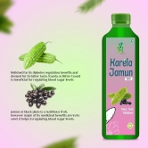 Mint Veda 100% Pure Natural Karela Jamun Juice Which Controls SBlood Sugar, Lowers Bad Cholesterol Naturally, Sugar Free Healthy Herbal Juice, 1 Litre Pack of 1