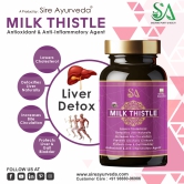 MILK THISTLE (Healthy Liver, Boost Metabolism And Maintain Cholesterol level)