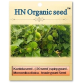 homeagro - Vegetable Seeds ( Kantola - spiny gourd - 20 seed )