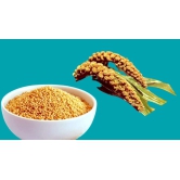 Foxtail Millets