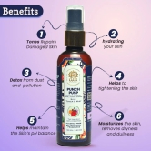 Kaaya Natural Punch Pusp Toner & Mist