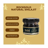 Rockgold Pure Ayurvedic Raw Shilajit/Shilajeet Resin (Semi Liquid) Provides Energy Level,for Men & Women - 15 Gram (Pack of 1)