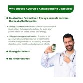 Ayuvya Ashwagandha Capsules | Experience Holistic Wellness with Organic Ashwangdha | Naturally Relieve Stress, Enhance Sleep, Boost Energy, and Support Immunity