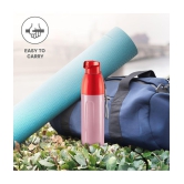 Milton Kool Convex 700 Insulated Inner Pet Water Bottle, 560 ml, Light Red | Easy To Carry | Leak Proof | School | Office | Gym | Hiking | Treking | Travel Bottle - Red