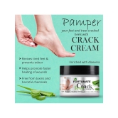 Fortunate Cracked skin repair Cream for ( 730 mL )