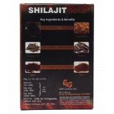 G&G Phermacy PB Shilajit Gold - Cap 40 no.s (Pack Of 4)