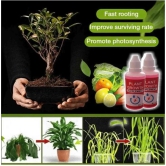 YEGBONG™  Plant Growth Enhancer Supplement-2 PCS (60 Days Pack)