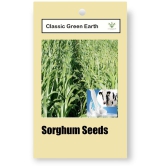 CLASSIC GREEN EARTH - Grass Seeds ( JUMBOO GRASS SEEDS 1000 SEEDS )