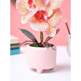 Market99 White Artificial Orchid Flower With Golden Pot