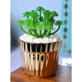 Golden Stripes - Artificial Plant with Glossy Ceramic Pot