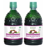 Bhumija Lifesciences Mangosteen Juice 500ml | Helps in Maintaining Healthy Immune System | Complete Family Drink | Summer and Winters (Pack of 2)