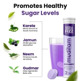 Muditam Ayurveda Sugar Management Kit Karela Jamun Fizz and Sugar Defend Pro Effervescent Tablets(Karela Jamun Juice)|Helps in High Sugar Condition|Promotes Healthy Glucose Levels| Ideal For 3 Months