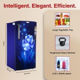Godrej 180 L 4 Star Turbo Cooling Technology, With 24 Days Farm Freshness Direct Cool Single Door Refrigerator (RD EDGENEO 207D THF AQ BL, Aqua Blue)