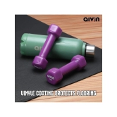 Aivin Iron 1 Kg Fixed Hex Dumbbell