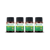 Dr. Vaidyas Herbobuild Capsules | Ayurvedic Muscle & Mass Gainer (30 Capsules Each) Pack of 4