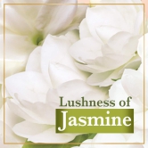 Lux Glow Jasmine & Vitamin E For Glowing Skin Beauty Soap Offer Pack 5X100 g 4+1