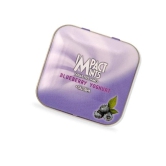 Impact Sug_Free Mints Blubery Yoghurt 15, 1 Pc