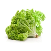 Vegetable Seeds Lettuce Seeds For Gardening Seeds - Lettuce Green â??Seeds SeedsÂ Organic Home Garden Seeds