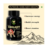 FIJ AYURVEDA Power Shilajit  Extract Capsule for Men & Women - 500mg 60 Capsules (Shilajit Pk 2)