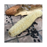 Smooth Loofah Gourd Seeds | for Growing Both Vegetable and Personal Care Sponge | Non-GMO Non-Hybrid 10+ Count