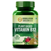 Himalayan Organics Plant Based Vitamin B12 Natural- 120 Veg Capsules