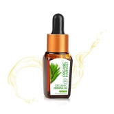 Organic Essential Oil: Tea Tree - 10ml