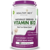 HEALTHYHEY NUTRITION Vitamin B12 ( Pack of 1 )