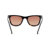 Brown Wayfarer Sunglasses for Men