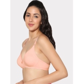 IN CARE LINGERIE - Multicolor Cotton Non Padded Women's T-Shirt Bra ( Pack of 2 ) - None