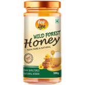 ANP BEE Honey Wild Forest Honey 500 g