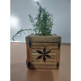 Bamboo Planter Pot