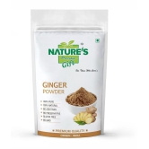 Nature''s Gift - 100 gm Dry Ginger (Pack of 1)