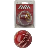 Leather Cricket Ball for Tournament and Club Matches, Practice Leather Ball 5 Â½ OZ Hand Sewn Ball for Boys & Girls - M(Youth)