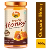 ANP BEE Honey Raw Organic Honey 500 g Pack of 2