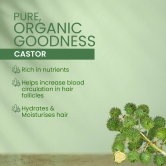 Kesh King Organics - Organic Castor Shampoo 300ml